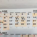 2025年6月